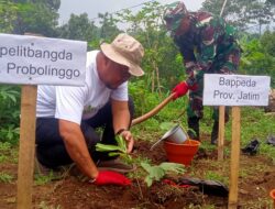 1000 Bibit Gula Aren di tanam di Lereng Gunung Argopuro Hasilnya Jadi Olahan Produk Unggulan Desa Kalianan 