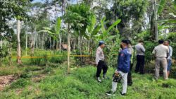  Siswi Madrasah Kalibaru Ditemukan Tewas di Kebun Kosong Dekat Rumah, Diduga Diperkosa