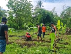 Polri Sebagai Penggerak, Polsek Kawasan Pelabuhan Gilimanuk Gelar Aksi Nyata Dukung Ketahanan Pangan Nasional