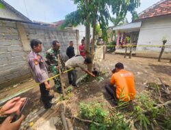 Penemuan Granat Nanas Kondisi Berkarat di Desa Selogudik Wetan Gegerkan Warga