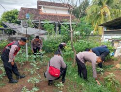 Polsek Kawasan Pelabuhan Gilimanuk Rawat Tanaman P2B dan Ikan di Halaman Belakang Mako