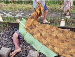 Tragedi di Stasiun Pohgajih, Seorang Pria Tewas Tertemper Kereta Api Gajayana