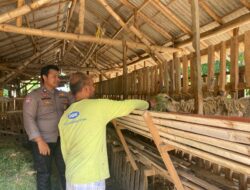 Wujudkan Asta Cita Presiden; Bhabinkamtibmas Polresta Banyuwangi Dampingi dan Monitoring Peternak Kambing Dalam Program Ketahanan Pangan*