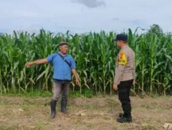Polisi di Banyuwangi Dampingi Petani untuk Dukung Swasembada Pangan*