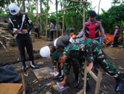 Arena Sabung Ayam di Blandit, Singosari Ditertibkan Aparat
