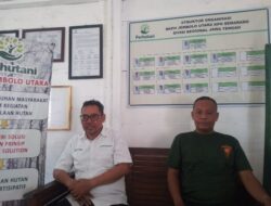 Perhutani BKPH Jembolo Utara Bantah Isu Penjualan Kayu Ilegal di Media Sosial