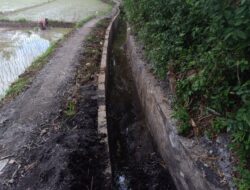 Proyek Siluman di Desa Bantur: Tanpa Papan Nama, Pekerjaan Diduga Asal Jadi