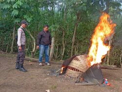 Awal Tahun 2026, Polisi Musnahkan Arena Judi Sabung Ayam di Kalipare Malang