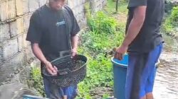 Warga RT 17 Sidodadi Sulap Pinggir Empang Jadi Sentra Budidaya Lele Mandiri