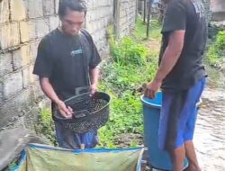 Warga RT 17 Sidodadi Sulap Pinggir Empang Jadi Sentra Budidaya Lele Mandiri